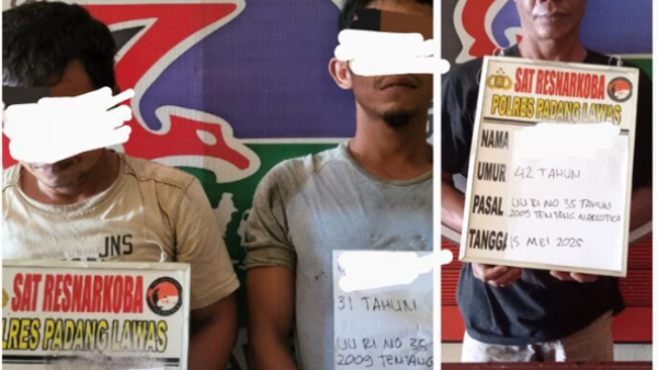 Dua tersangka pengedar dan satu tersangka pengguna narkoba saat diamankan di Mapolres Palas bersama barang bukti. (SP/ist)