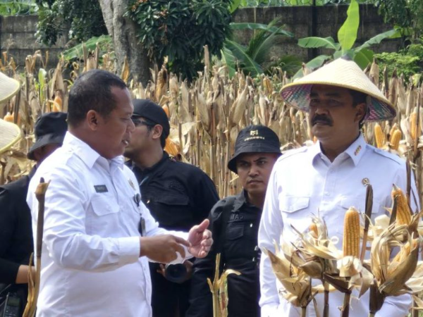 Kepala Lembaga Pemasyarakatan (Lapas) Kelas IIB Pati, Suprihadi saat mendampingi Menimipas Republik Indonesia Agus Andrianto dalam Panen Raya Ketahanan Pangan di Lapas Terbuka Kendal pada Selasa (17/06/2025).