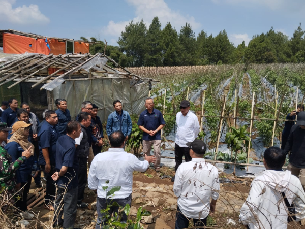 Jajaran PTPN I bersama investor Jinxiang saat melakukan survei lahan di Cianjur dan Bandung untuk pengembangan budi daya bawang merah dan bawang putih.