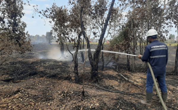 PT Perkebunan Nusantara IV (PalmCo) Regional V, bagian dari Holding Perkebunan Nusantara (PTPN Group), memperkuat kesiapsiagaan dalam menghadapi kebakaran hutan dan lahan (Karhutla) dengan menyiagakan 19 regu yang terdiri dari 336 personel di seluruh unit kerja (Kalimantan). 