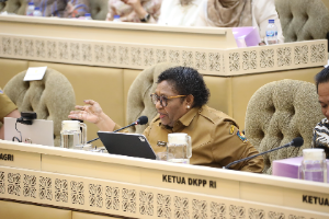 Kemendagri Terus Mitigasi Terhadap Potensi Terjadinya PSU Berulang