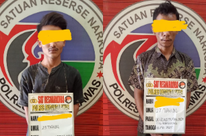 Satresnarkoba Polres Palas Grebek Sarang Narkoba di Sosa, 3 Pengedar dan 20 Pengguna Dibekuk