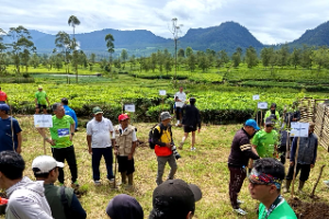 Dari Pangalengan, Holding Perkebunan Nusantara Perkuat Konservasi Lingkungan melalui PTPN I