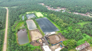 PalmCo Andalkan PLTBg Hadapi Gejolak Energi Global