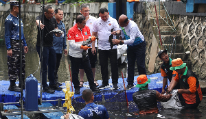 Ikan Sapu-Sapu Kuasai Hingga 90% Perairan Jakarta, Pramono Anung Pimpin Operasi Pengendalian Besar-Besaran