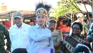 Wapres Gibran Tinjau Papua, Wamendagri Ungkap Progres DOB