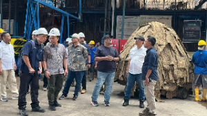 PTPN I Genjot Produksi Karet Bengkulu, Fauzi Omar Turun Langsung Evaluasi Kebun Padang Pelawi