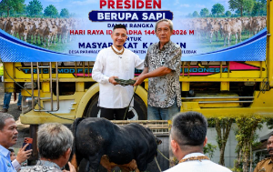 Sapi Kurban Presiden Prabowo untuk Lebak Tembus 1 Ton, Disalurkan ke Warga Parakanbesi