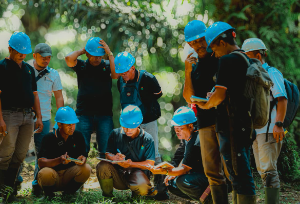 PTPN IV Genjot Produktivitas, Kebun Air Molek 2 Lakukan Replanting 862 Hektare