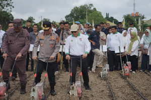 PalmCo Perkuat Kemitraan Petani di Jambi, Dukung Ketahanan Pangan