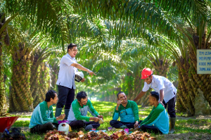 PalmCo Serap 70 Ribu Tenaga Kerja, Dorong Peluang Kerja dari Hilirisasi Sawit