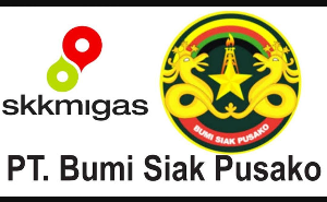 Seleksi Direksi BSP Disorot, Hanya Dua Lolos UKK Dinilai Tak Sesuai Regulasi