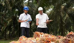 PTPN IV PalmCo Targetkan 5.120 Sertifikasi Kompetensi, Perkuat SDM Unggul untuk Tingkatkan Daya Saing Industri Sawit Nasional