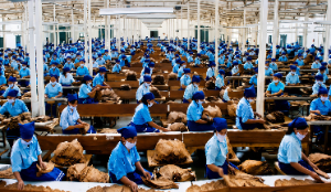 PTPN I Regional 5 Serap Hingga 20 Ribu Tenaga Kerja Lewat Industri Tembakau