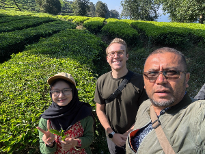 Kebun Rancabali PTPN I Jadi Sorotan Media Amerika Serikat, Holding Perkebunan Nusantara Perkuat Promosi Teh Indonesia ke Dunia