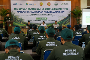 Holding Perkebunan Nusantara Perkuat SDM, PTPN IV Regional V Sertifikasi 25 Mandor Sawit untuk Tingkatkan Profesionalisme Kebun