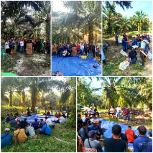 PTPN IV Regional V Gelar Field Day Panen Bersih di Kalimantan Barat, Perkuat Produktivitas dan Tekan Losses Kebun Sawit