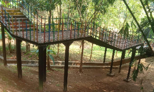 Tangga Hutan KP3B Banten Rusak dan Dilarang Dilintasi, Publik Pertanyakan Anggaran Pemeliharaan