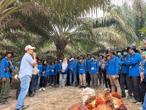 PalmCo Gandeng IPB Training, 211 Petani Sawit Jambi Ditingkatkan Kompetensinya